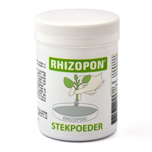 7449304f0de86689a70fa251eea408a298318f78 Rhizopon , Stecklingspulver 80gr