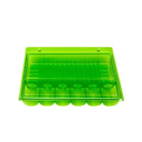 ab1283020b30d97fc3e062ab32adf241a07ba706 Stecklings Versand-Box für 6 stecklinge