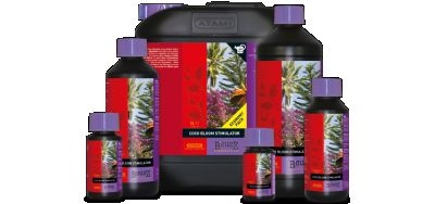 12209b1cb580f8eaea1eb028e185b381bf70bf90 Atami BCUZZ Coco Bloom-Stimulator 1 L