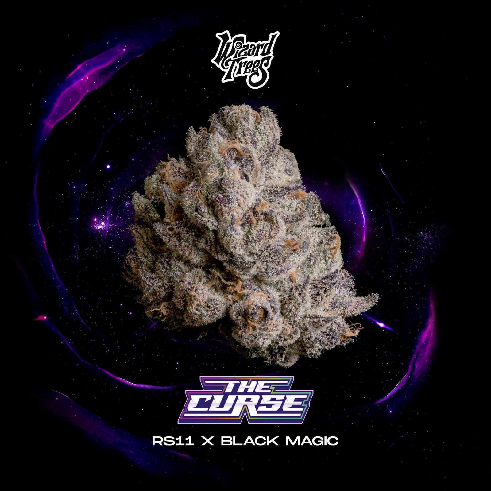 Wizard Trees The Curse 3er