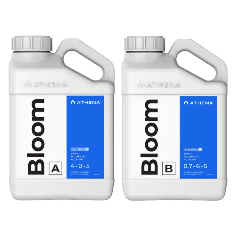 Athena Bloom A+B 3,79L Athena Bloom A+B 3,79L