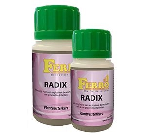 b911430ce79a64d0c839d5a719ad734195627fd8 Ferro Radix 0,1 L