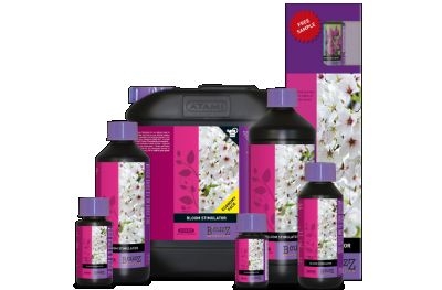 b07109a5877e093be371f1c695e547f5ad8414a4 Atami BCUZZ BLOOM STIMULATOR f. Erde u. Hydro 1 L