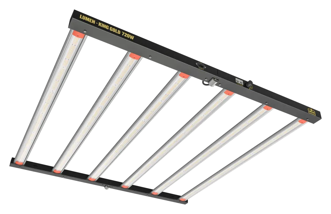 Lumenking Led 720 W Gold 3.15 µmol/J