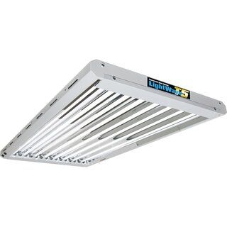 8dc901c4542970bef260102af2168154d55a6154 Lightwave T5 48-HO 432W Stecklingsarmatur