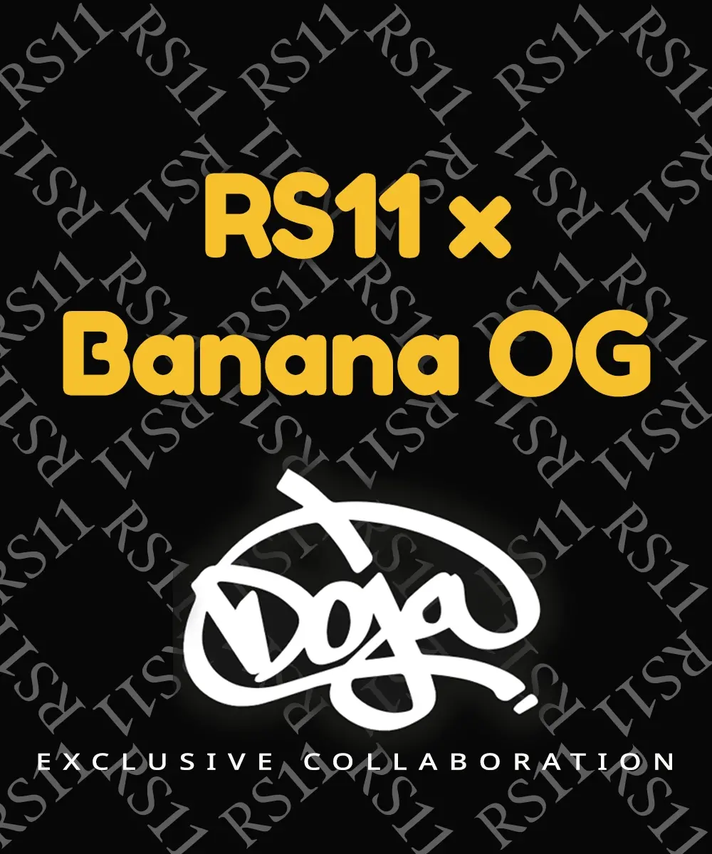 Barneys Farm RS11 X Banana OG 5er