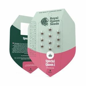 Special Queen #1 5er 50%/50% Sep