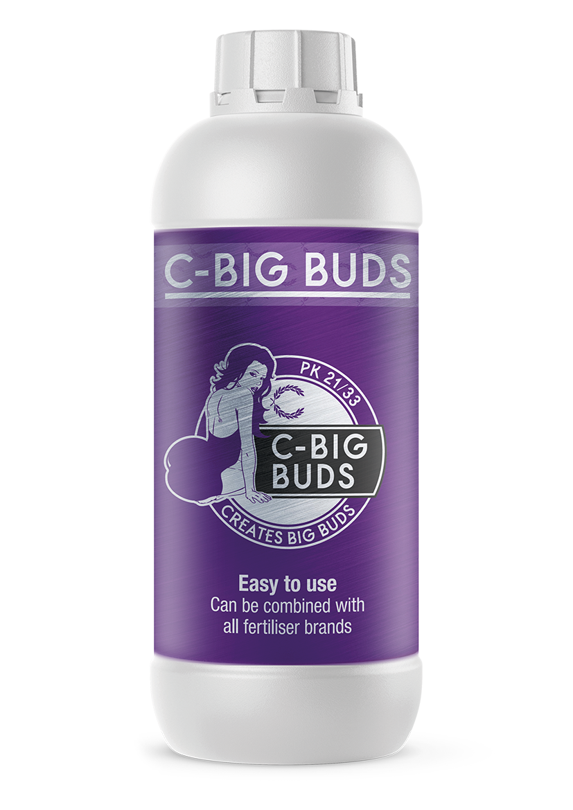 c6b4890c5458f89490d30a42f693af502a1cbf8b C-Big Buds 10 Liter