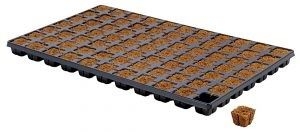 683017315502e6cf8a767d62c53b281267ab60bc Eazy Plug 77 er Tablett Stecklingstray (10 St.) Karton