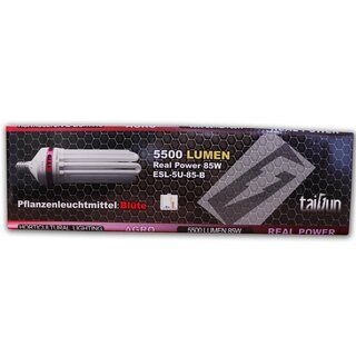 Taifun Energiesparlampe 85 W 2700 K Blüte