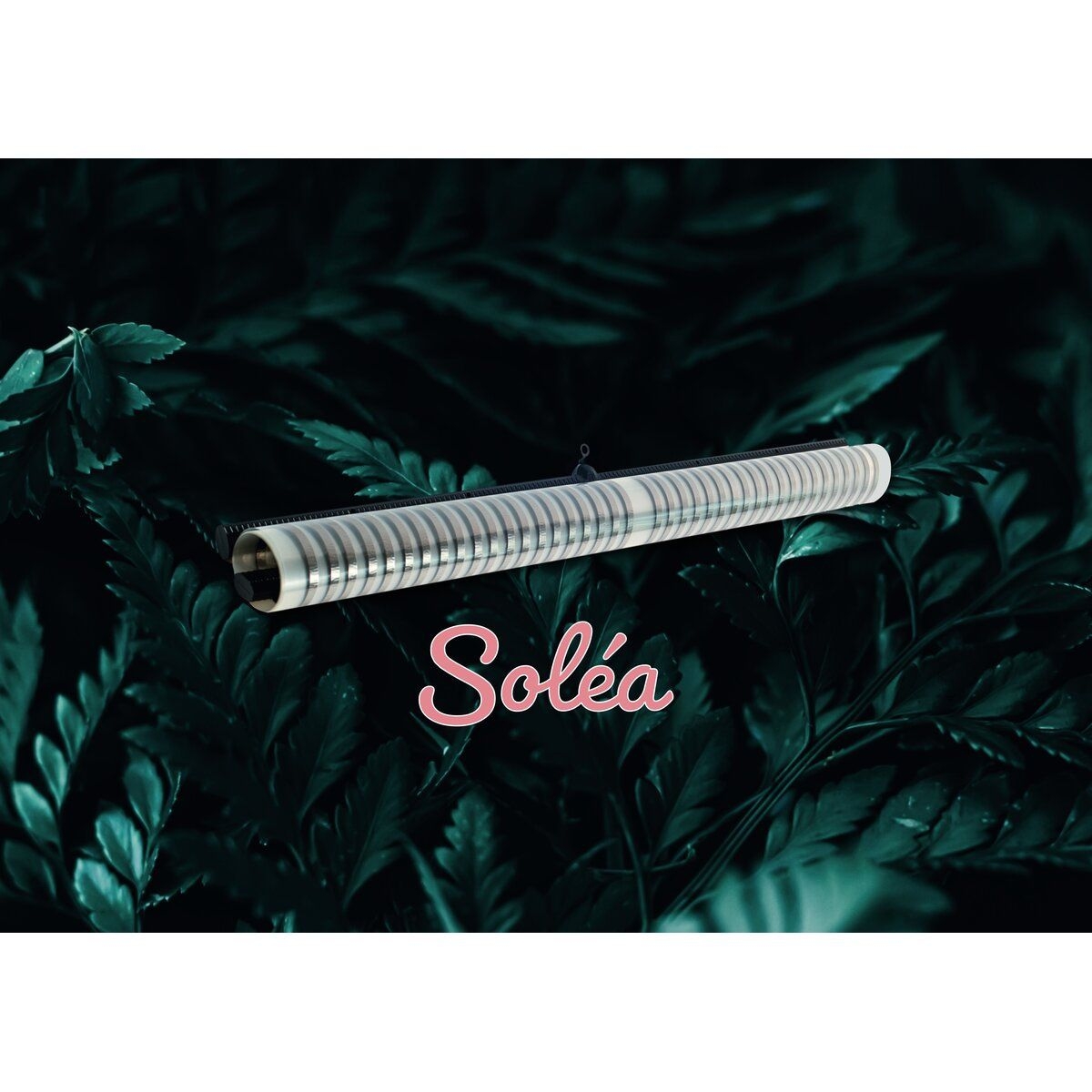 60561e20ea0a8daafa2a17aa2e1ac6b395fa0f5b Solea Infrarotheizung 250 Watt 60x58cm