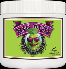 b712862c102efb7c3d4df8d56d00bfd66d8a1f19 Big Bud   Powder 1 Kg