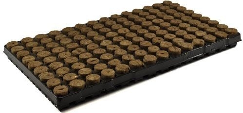 3af23e6a0ef28bf32381ee3ad20f3049ad603909 Anzuchtmatte Speedgrow (Agrawool) 126 St.
