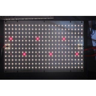4baf0d7cfc48f77815620a688eeddaa346c3bac9 BloomStar RedBoard 3500K 140W Set incl. Dimmer