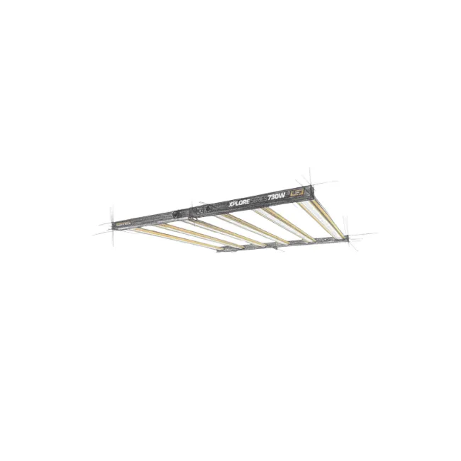 Lampe