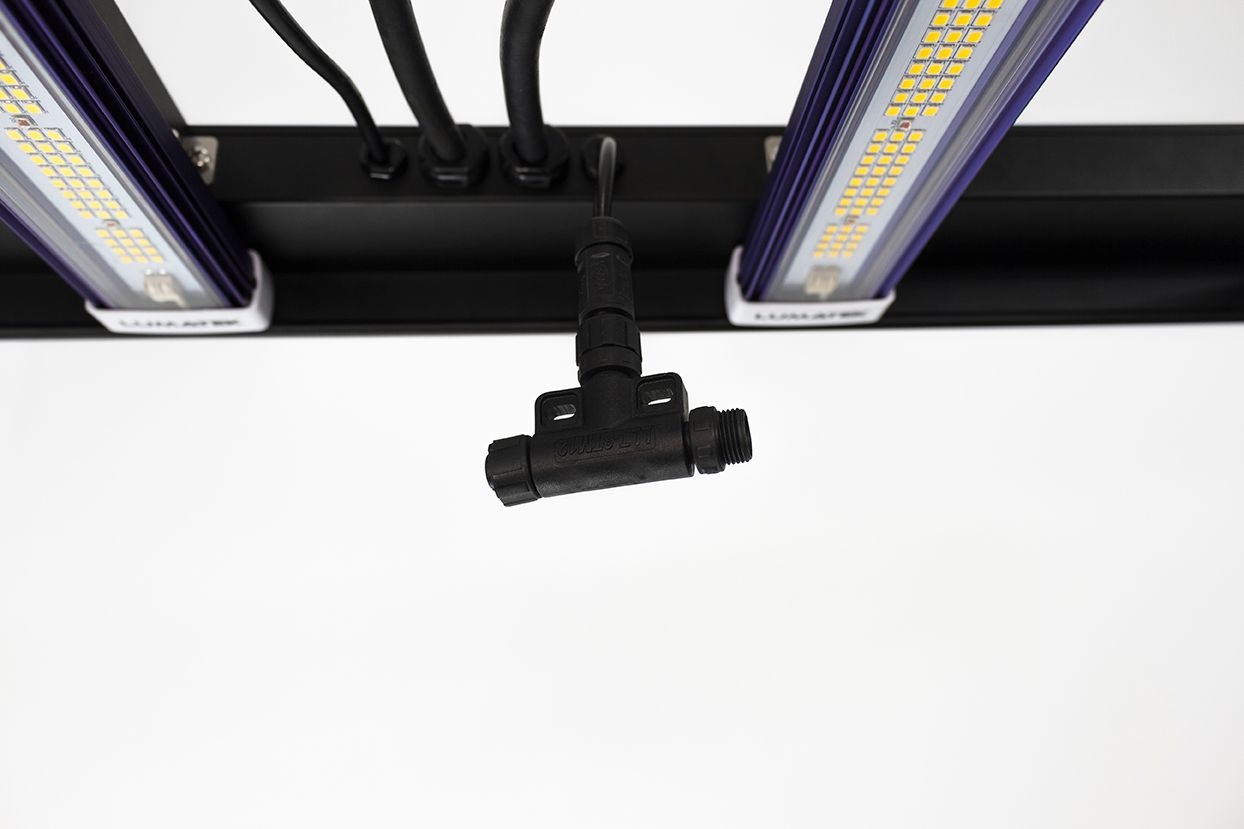 f4335a4ec40531c8d630f7957cd33d843d0919f6 Lumatek T-Verbinder + 5m Control Link Cable (LED)