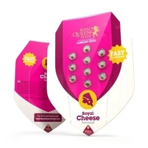 Royal Cheese fast 5er 60%/40% Okt