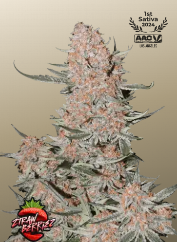 Fastbuds 420 Ztrawberriez Auto 3er