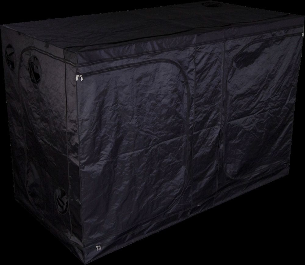 Mammoth Pro + 300L, 300x150x200