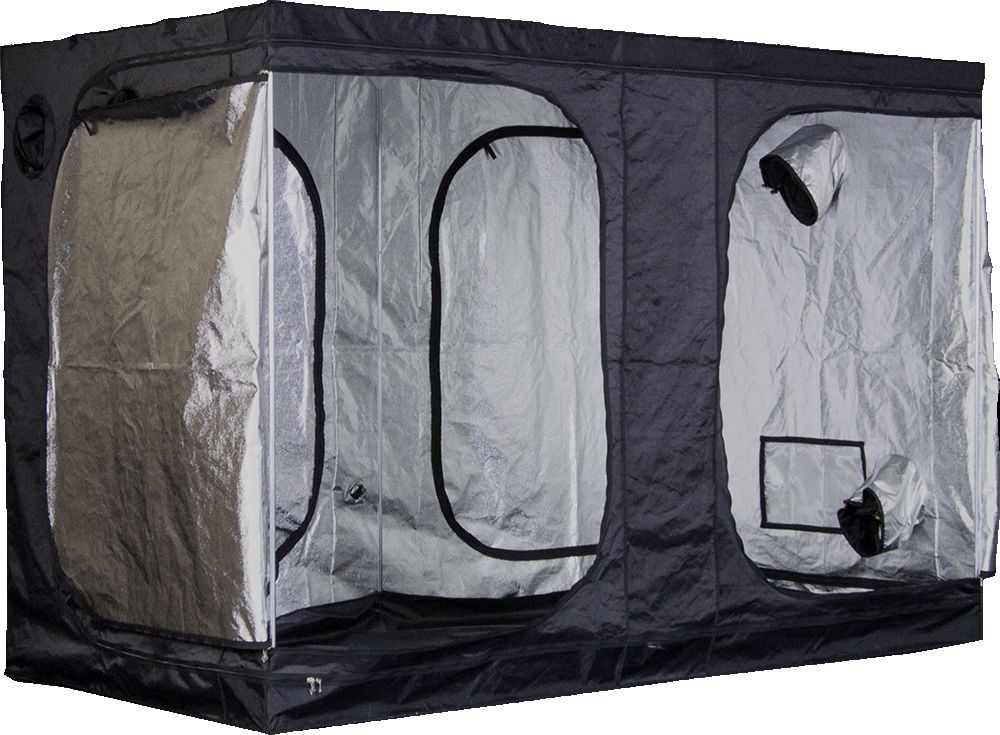 9bb2db7eb20a7c43ccd032134edc00e31c45beaf Mammoth Pro + 300L, 300x150x200