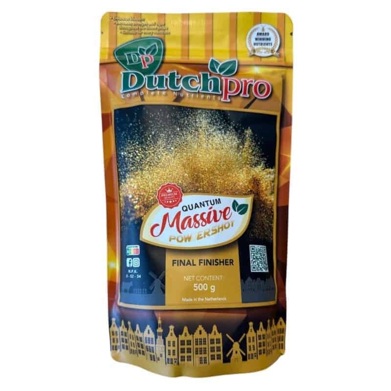 Quantum Massive Powder Shot 500g