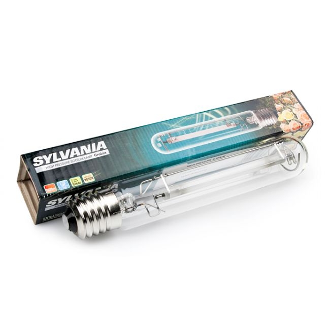 6255bc70221a66de91c02df703a2a155236be7a8 Sylvania 600 W Grolux hoher rotgelb Anteil, Blüte