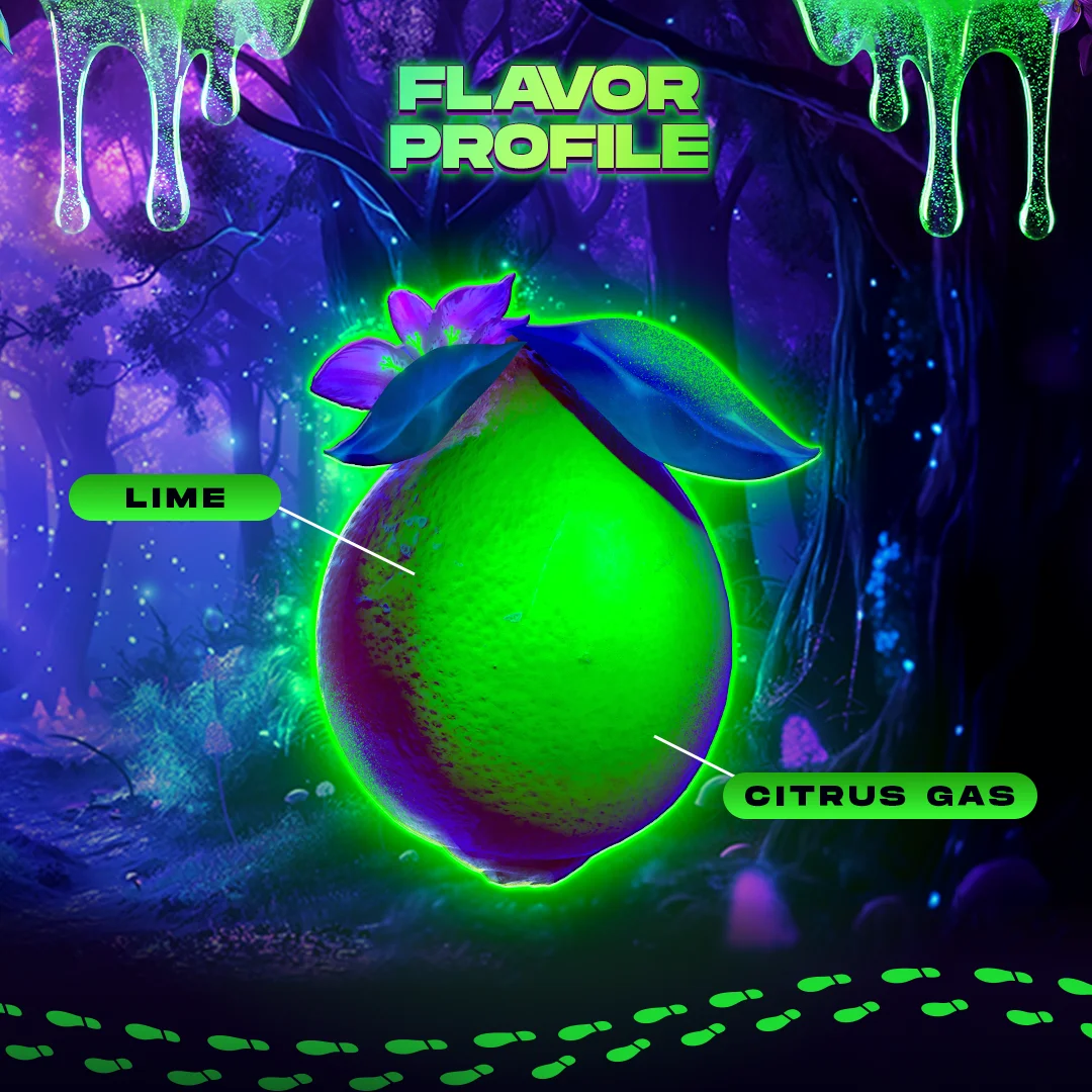 Wizard Trees Black Light 3er