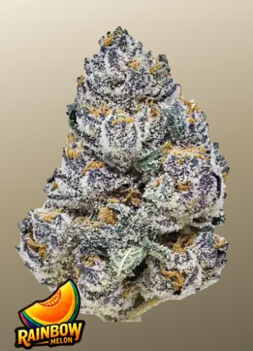 Fastbuds 420 Rainbow Melon FEM 1er