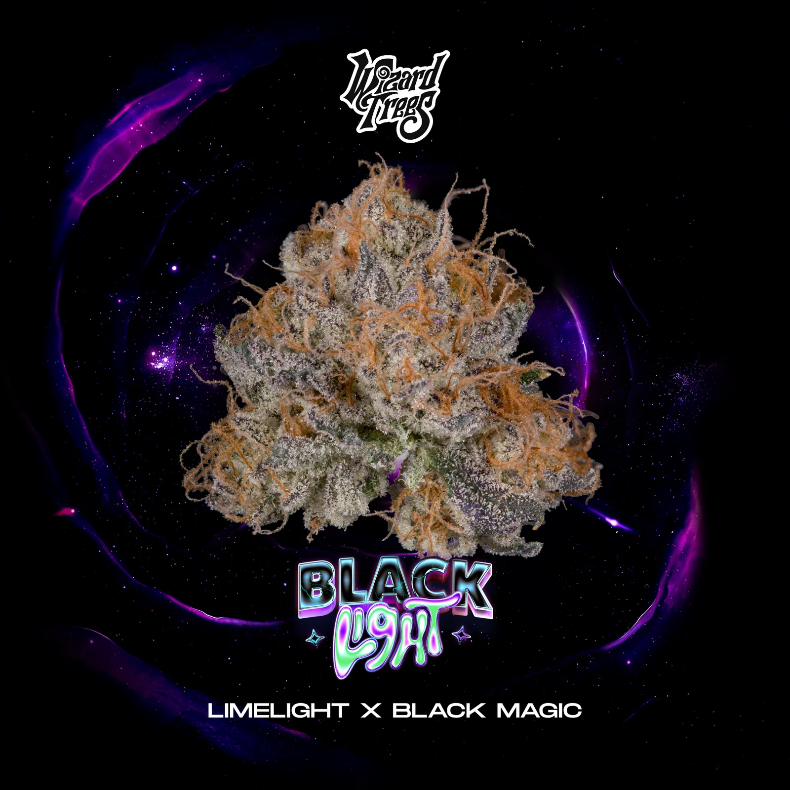Wizard Trees Black Light 3er