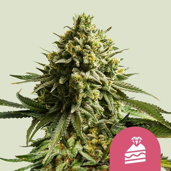 Wedding Cake 5er Wedding Cake 5er