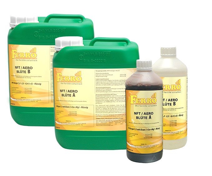 Ferro Standard A&B NFT & Aero Start  5 L
