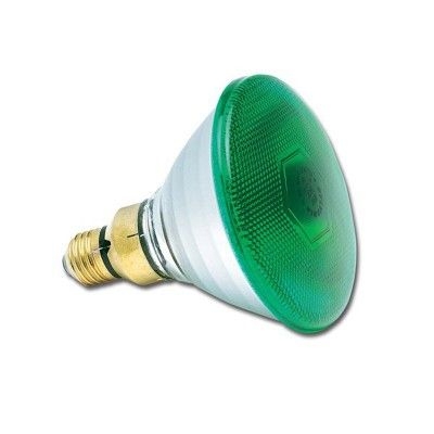 a96b35a22ae3910cee65e913b0a1b6bd5a6e9c93 Sylvania Par 38 , 80W Green Light
