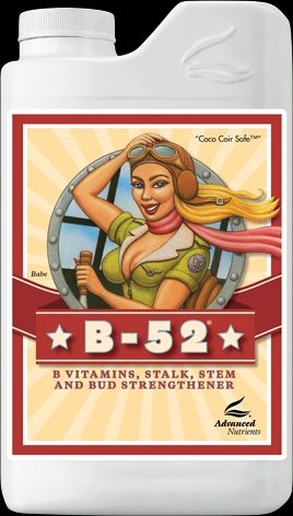 edbde41ff82d675bf15ff2809f7564af5f813ea7 B-52   1 L