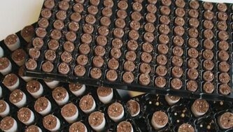 a121176d2b4a87b24463bc3d0319c84603e876e2 Paperpotplug 84er Tray